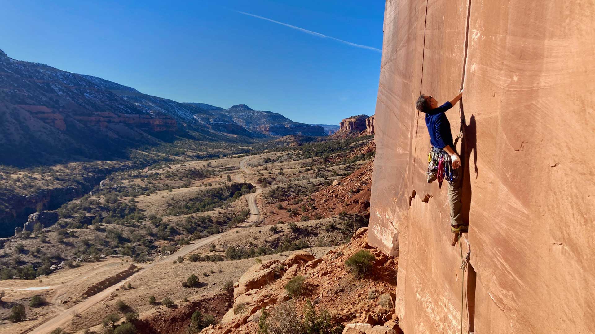 Dave levine coach headshot